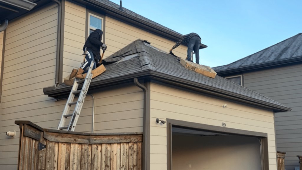 roof replacement services